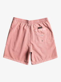 quiksilver, Mens Everyday Surfwash 17" Swim Shorts, MARSALA (mpd0) EVERYDAY SURFWASH VOLLEY 17NB EQYJV03989