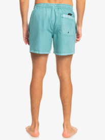 quiksilver, Everyday Surfwash 15" - Short de Natación para Hombre, BRITTANY BLUE (blz0) Everyday Surfwash 15" - Swim Shorts for Men EQYJV03990