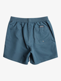 Men's Swim Shorts - Shop the Collection Online | Quiksilver