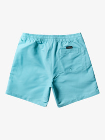 Beach Please 17" - Swim Shorts for Men  EQYJV03992