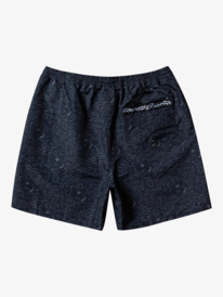 Men's Swim Shorts & Volleys - Shop Online | Quiksilver