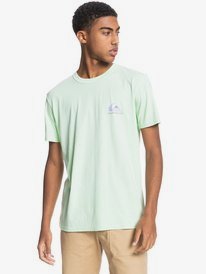 Mineral - Organic T-Shirt for Men  EQYKT04133