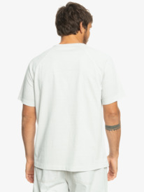 quiksilver, Alpha Dog - Camiseta para Hombre, GRAY VIOLET (sfv0) Alpha Dog - T-Shirt for Men EQYKT04279
