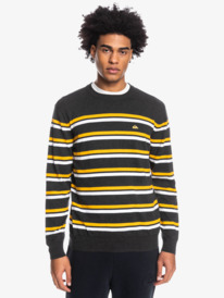 Stripe - Sweatshirt for Men  EQYSW03284