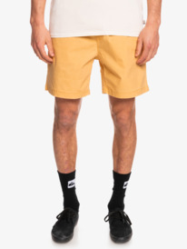 Taxer 17" - Elasticated Shorts for Men  EQYWS03610