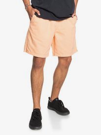 Brain Washed 18" - Elasticated Shorts  EQYWS03638