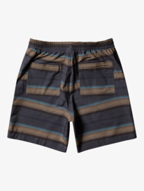 Taxer Print 18" - Amphibian Board Shorts for Men  EQYWS03839