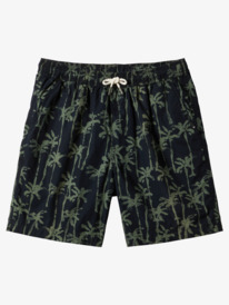 TAXER PRINT  EQYWS03855