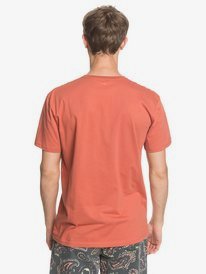 quiksilver, Comp Logo - T-shirt pour Homme, REDWOOD (mnl0) Comp Logo - T-Shirt EQYZT05750