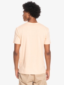 quiksilver, Feeding Line - T-Shirt für Männer, ALMOND CREAM (new0) Feeding Line - Short Sleeve T-Shirt for Men EQYZT06659