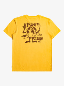 quiksilver, Hidden Message T-Shirt, GOLDEN ROD (ykk0) Hidden Message - T-Shirt for Men EQYZT07076