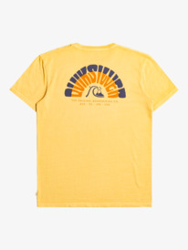 Men's T-Shirts - Shop the Collection Online | Quiksilver