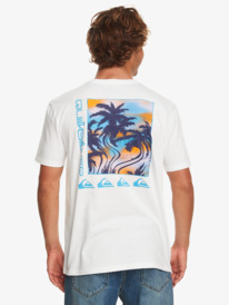 Men's T-shirts - Shop Online | Quiksilver