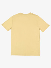 PREMIUM WASHED TEE  UQYZT04221