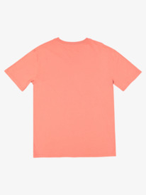 PREMIUM WASHED TEE  UQYZT04221