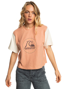 Quiksilver Womens Vintage Crop T-Shirt | Quiksilver