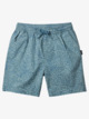 Kids' Shorts - Shop the Collection for Boys | Quiksilver