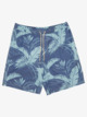 GRAY BLUE BIG FAUNA VOL (bnd6)