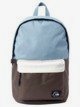 The Poster 26 L - Medium Backpack for Men  AQYBP03112