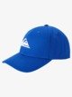 Decades - Snapback Cap for Men  AQYHA04002