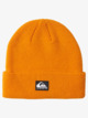 Performer - Beanie for Men  AQYHA04782