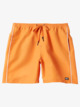 Flight Volley 18" - Swim Shorts for Men  AQYJV03128