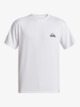 Everyday Surf  - Short Sleeve UPF 50 Surf T-Shirt for Men  AQYWR03135