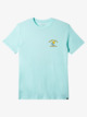 BEACH GLASS HEATHER (gczh)