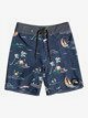 Surfsilk Mystic Sessions 17" - Board Shorts for Boys 8-16  EQBBS03548