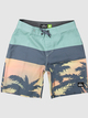Everyday Panel 16" - Board Shorts for Boys 8-16  EQBBS03666