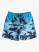 Everyday Paradise 14" - Swim Shorts for Boys 8-16  EQBJV03438