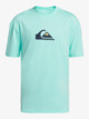 Solid Streak - Short Sleeve UPF 50 Surf T-Shirt for Boys 8-16  EQBWR03227
