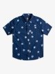 INSIGNIA BLUE COSMOS (bsn6)