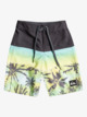 Everyday Panel 14" - Board Shorts for Boys 2-7  EQKBS03367