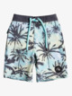 Surfsilk Washed 14" - Board Shorts for Boys 2-7  EQKBS03373