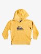 Big Logo - Hoodie for Boys 2-7  EQKFT03351