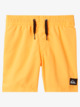 Everyday 12" - Swim Shorts for Boys 2-7  EQKJV03233