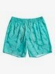 Waterman The Deck 18" - Swim Shorts for Men  EQMJV03072