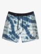 Quiksilver - Boardshorts for Men  EQYBS04566