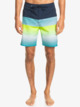 Surfsilk Panel 18" - Board Shorts for Men  EQYBS04658