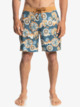 HempStretch 69 18" - Board Shorts for Men  EQYBS04667