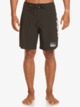 Surfsilk Arch Sof 18" - Board Shorts for Men  EQYBS04828