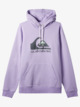 Big Logo - Fleece for Men  EQYFT04450