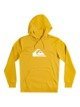 Big Logo - Fleece for Men  EQYFT04450