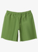 Men's Shorts & Bermudas - Shop Online | Quiksilver