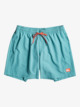 Everyday 17" - Swim Shorts for Young Men  EQYJV03853