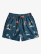 Everyday Mix 17" - Swim Shorts for Men  EQYJV03919