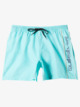 Everyday Vert 16" - Swim Shorts for Men  EQYJV03987