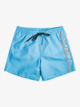 Everyday Vert 16" - Swim Shorts for Men  EQYJV03987