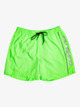 Everyday Vert 16" - Swim Shorts for Men  EQYJV03987
